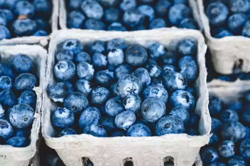 bleuets