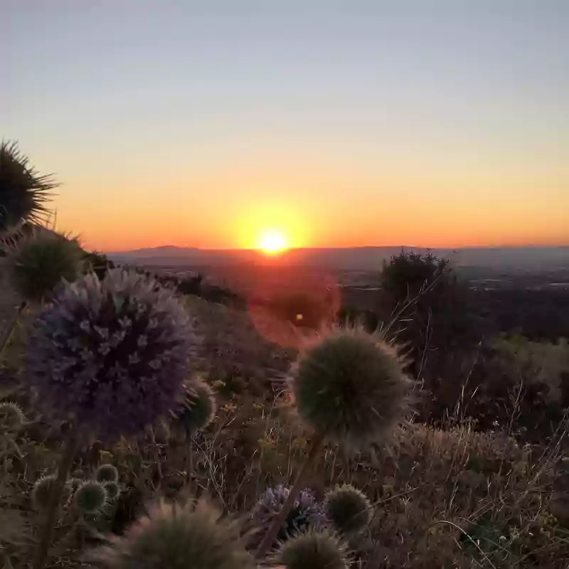 lever soleil